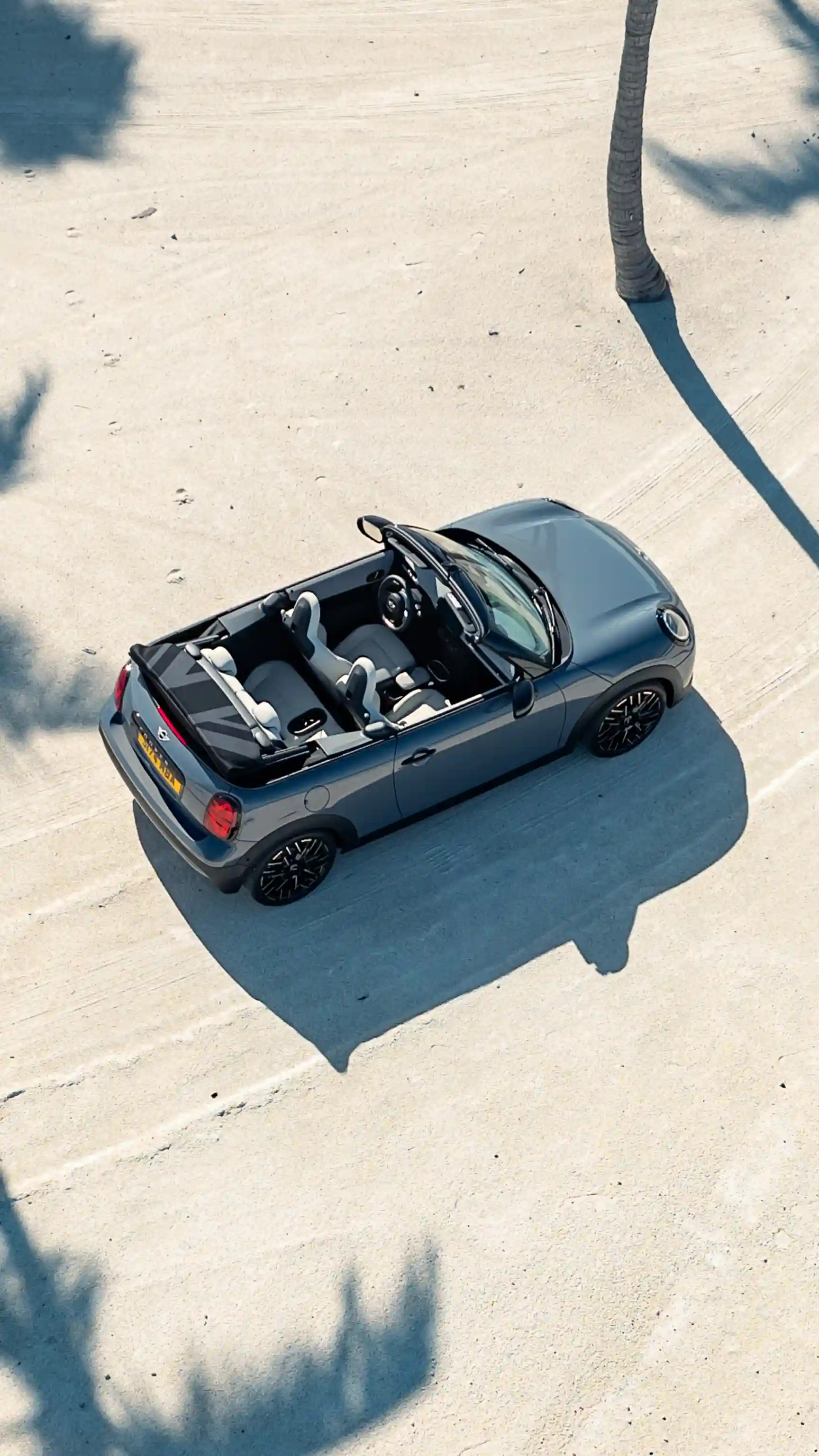 MINI Cooper Cabrio - Pálmafák